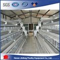 high quality automatic chicken cage for sale 2