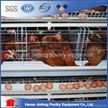 high quality automatic chicken cage for sale 3