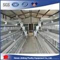 high quality chicken cage for poultry farming 1