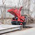 Mini Crawler moving leaf shredder