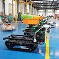 Mini Crawler type Dumper with lift container  15