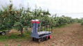 greenhouse harvest trolley with electric track 9