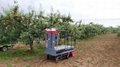 greenhouse harvest trolley with electric track