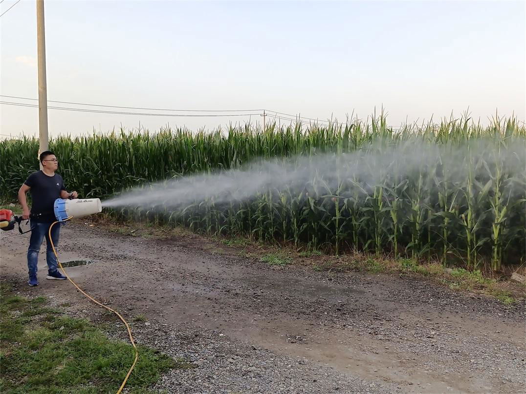 Orangery sprayer gun work effect