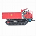 small rubber tracked swamps tipper