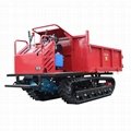 small rubber tracked swamps tipper