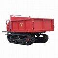 small rubber tracked swamps tipper 6