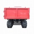 small rubber tracked swamps tipper 7