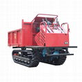 small rubber tracked swamps tipper 8