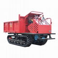 small rubber tracked swamps tipper 9