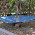 nut tree harvesting collect umbrella