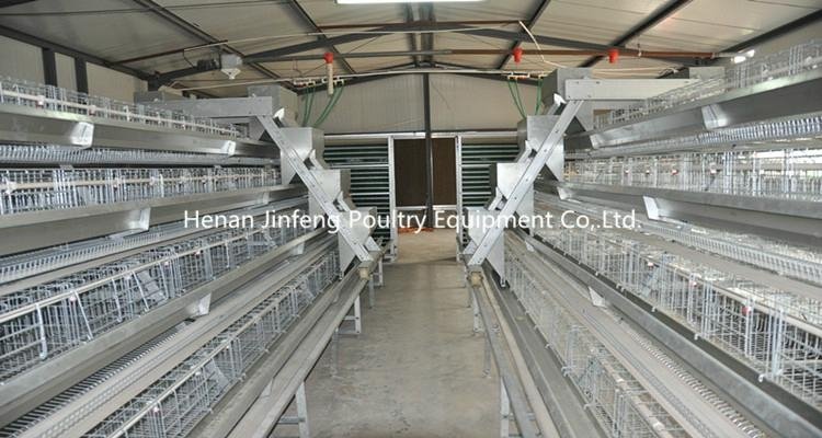 High Quality Battery Egg Laying Cages For Layer Poultry Farm
