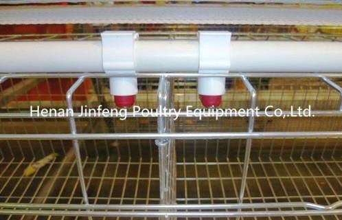 Automatic Scientific Design Layer Chicken Cage/Poultry Equipment 4