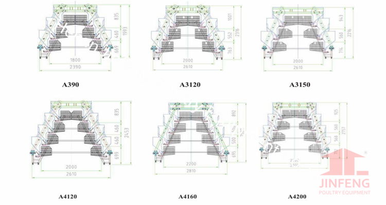 Automatic Scientific Design Layer Chicken Cage/Poultry Equipment 3