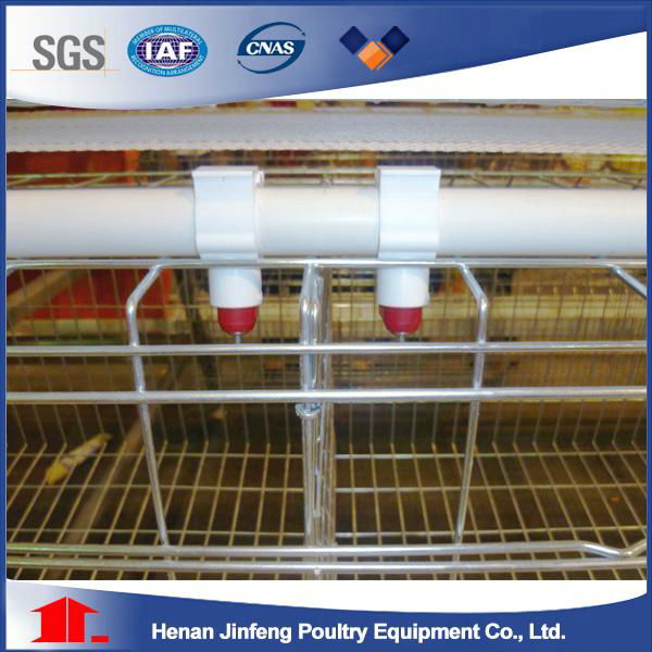 Galvanized Chicken Cage for Layers 2