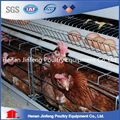 A Type Design Chicken Layer Cage with
