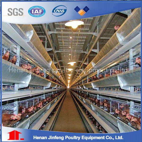 H type best price poultry farm egg layer chicken cages 4