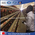 Poultry Equipment Automatic Chicken Battery Cage For Sale 5