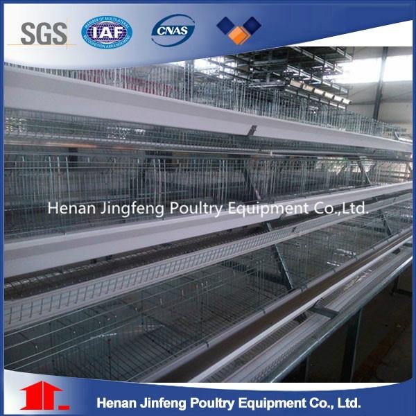 Automatic Feeding and Drinking Chicken Farm Battery Cages Laying Hens