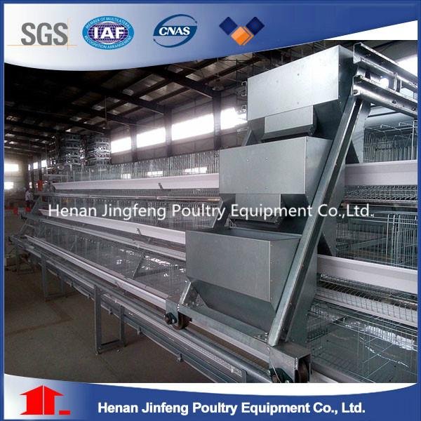 Automatic Feeding and Drinking Chicken Farm Battery Cages Laying Hens 5