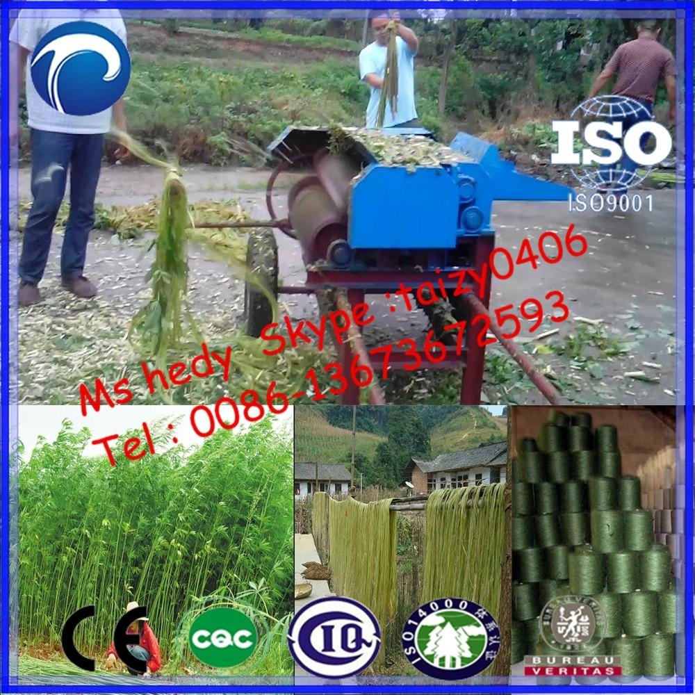  Quality and quantity assured Sisal hemp decorticator 
