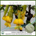 Herbal medicine extract manufacturer