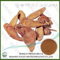 China Deglycyrrhizinated Licorice (DGL) Extract Powder Manufacturer 1