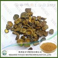 atural corydalis yanhusuo extract