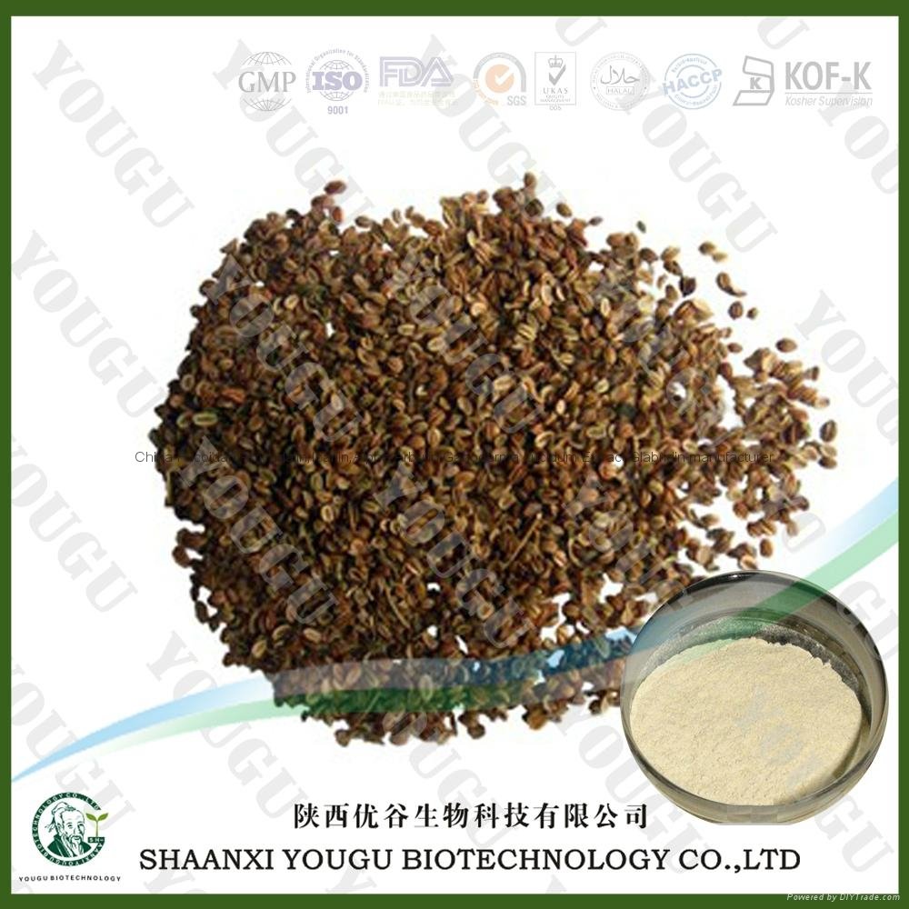China Cnidium Monnieri P.E. Osthole manfuacturer