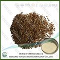 China Cnidium Monnieri P.E. Osthole manfuacturer 1
