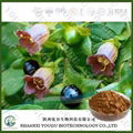 China Belladonna Extract Hyoscyamine Powder factory 1