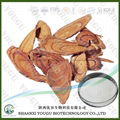 China Glycyrrhizic acid, Licorice extract Glycyrrhizic acid manfuacturer 1