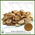 Factory Sale Astragalus membranaceus extract 10%-70% Polysaccharides