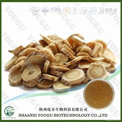 Factory Sale Astragalus membranaceus extract 10%-70% Polysaccharides