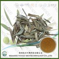 China Olive Leaf Extract 8%~40% Oleuropein; 5%~40% Hydroxytyrosol factory 1