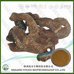 Cistanche tubulosa Extract Glycosides, Echinacoside,Acteoside