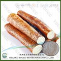 China Wild Yam Extract Dioscin, DHEA Factory