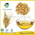 100% Pure Natural Wheat Germ Oil Price,Vegetable oil With Best Price 1