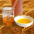 100% Pure Natural Wheat Germ Oil Price,Vegetable oil With Best Price 4