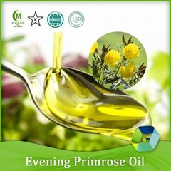 100% Pure Natural Evening Primrose Oil Bulk Prices