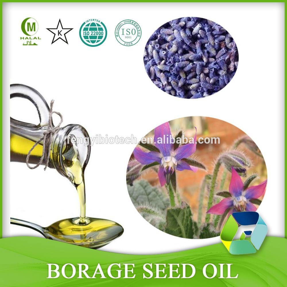 100% Pure Essential Oil Borage Oil From Manufacturer