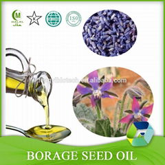 100% Pure Essential Oil Borage Oil From Manufacturer