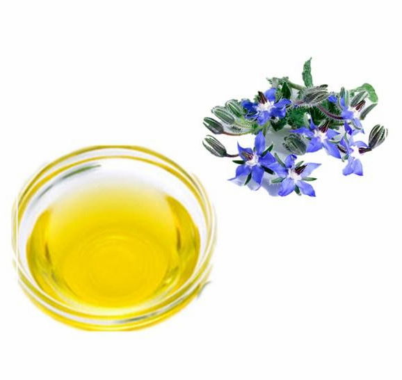 100% Pure Essential Oil Borage Oil From Manufacturer 2