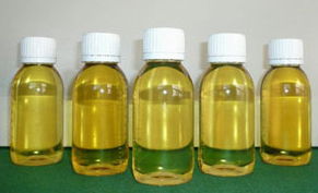 100% Pure Essential Oil Borage Oil From Manufacturer 4