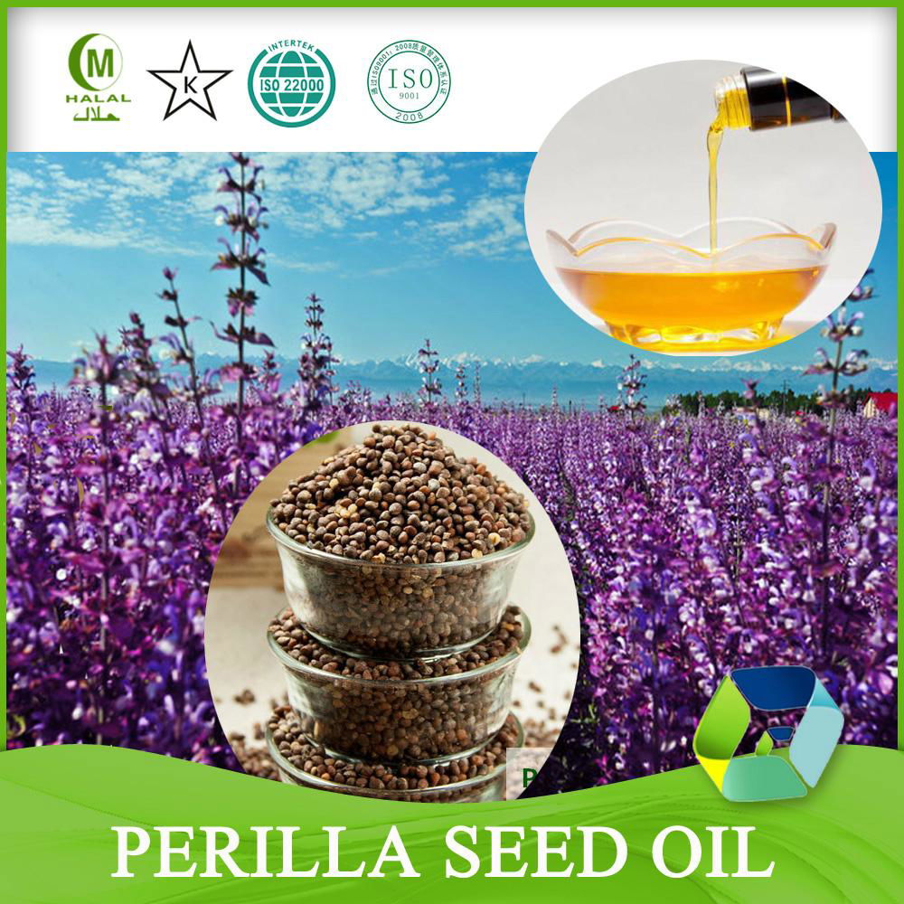 Hot Sale Perilla Seed Oil(omega 3 Series,Alpha Linolenic Acid) 2