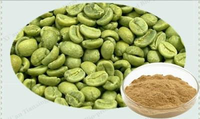 green coffee bean extract 3