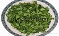 Moringa leaf Capsule