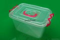 Chinese Mold Supplier Plastic Injection Food Container Molding 5