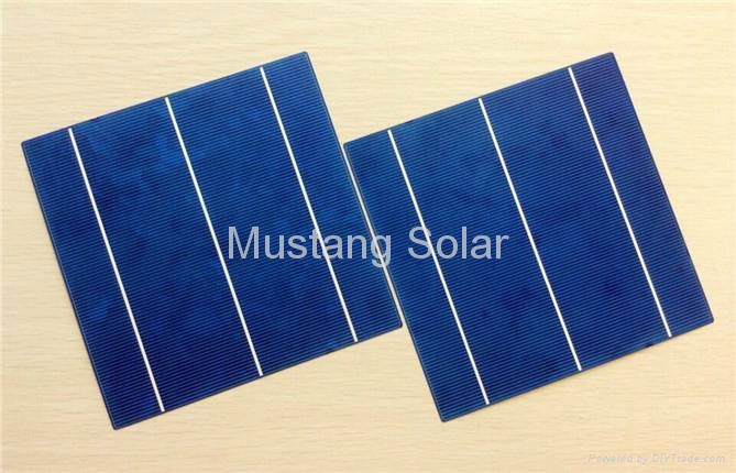 6" inch 3BB Poly Solar Cell made in Taiwan  1