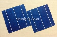6" inch 3BB Poly Solar Cell made in Taiwan 